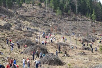 La acțiune au participat 300 de voluntari din Suceava, Rădăuți, Fălticeni, Câmpulung Moldovenesc, Gura Humorului, Vatra Dornei, dar și din Botoșani, Pașcani și Iași