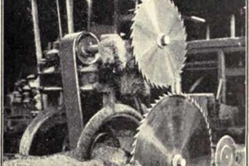 „Fabrica de cherestea Vama”