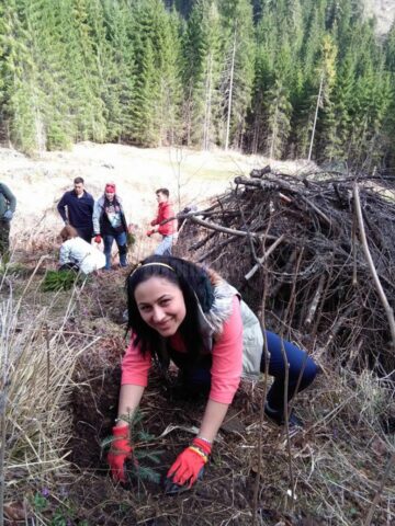 Voluntari din trei județe au plantat 12.000 de arbori la Valea Putnei