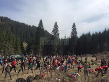 Voluntari din trei județe au plantat 12.000 de arbori la Valea Putnei
