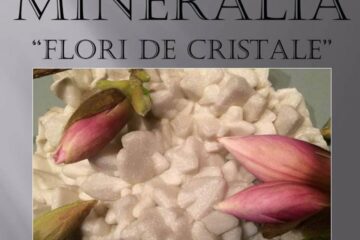 „Flori de cristale”, la Muzeul de Științele Naturii