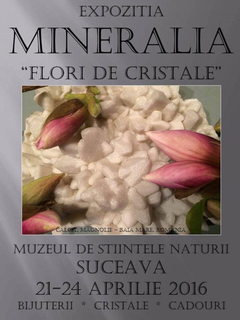 „Flori de cristale”, la Muzeul de Științele Naturii