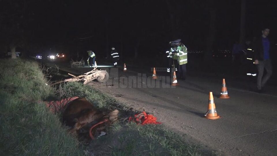Calul care tracta căruța a suferit leziuni foarte grave și pentru că nu mau putea fi salvat a fost eutanasiat