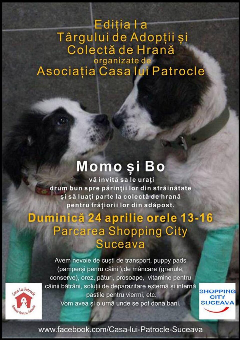 Târg de adopție de animăluțe, în parcarea Shopping City Suceava