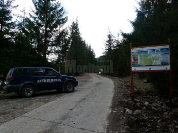 Noi panouri de informare turistică, amenajate în “Călimani” și în rezervația „Pietrele Doamnei”