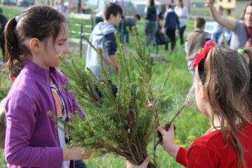 Elevi ai Școlii „Jean Bart” au plantat puieți de molid în cartierul Tinereții