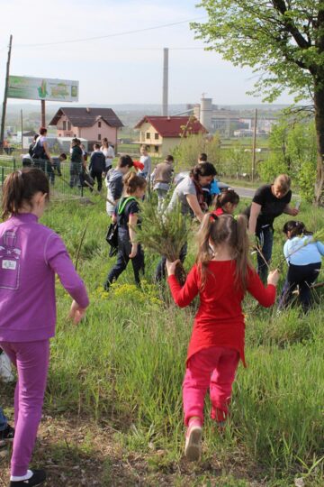 Elevi ai Școlii „Jean Bart” au plantat puieți de molid în cartierul Tinereții