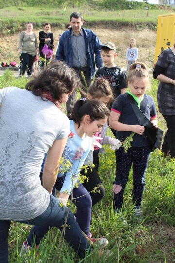 Elevi ai Școlii „Jean Bart” au plantat puieți de molid în cartierul Tinereții