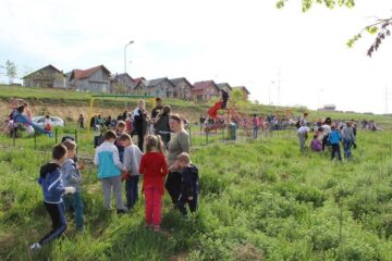 Elevi ai Școlii „Jean Bart” au plantat puieți de molid în cartierul Tinereții