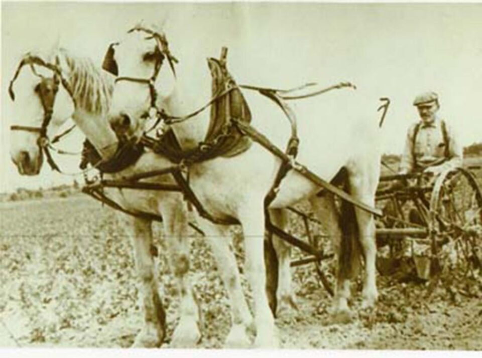 „Au dosit utilajul agricol”