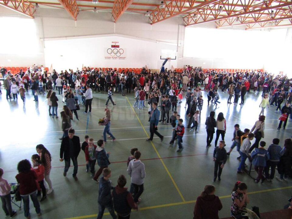 Târgul este o expoziție cu vânzare
