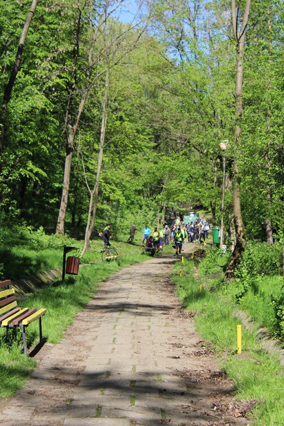 Cel mai mare spațiu verde al Sucevei, curățat printr-o acțiune de voluntariat, din cauza situației sale juridice