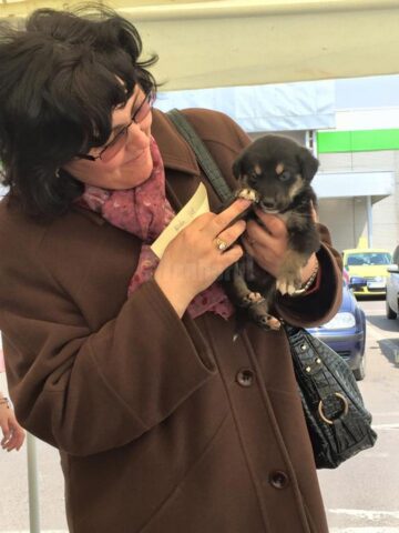 Prima ediție a Târgului de adopții de animăluțe, încununată de succes