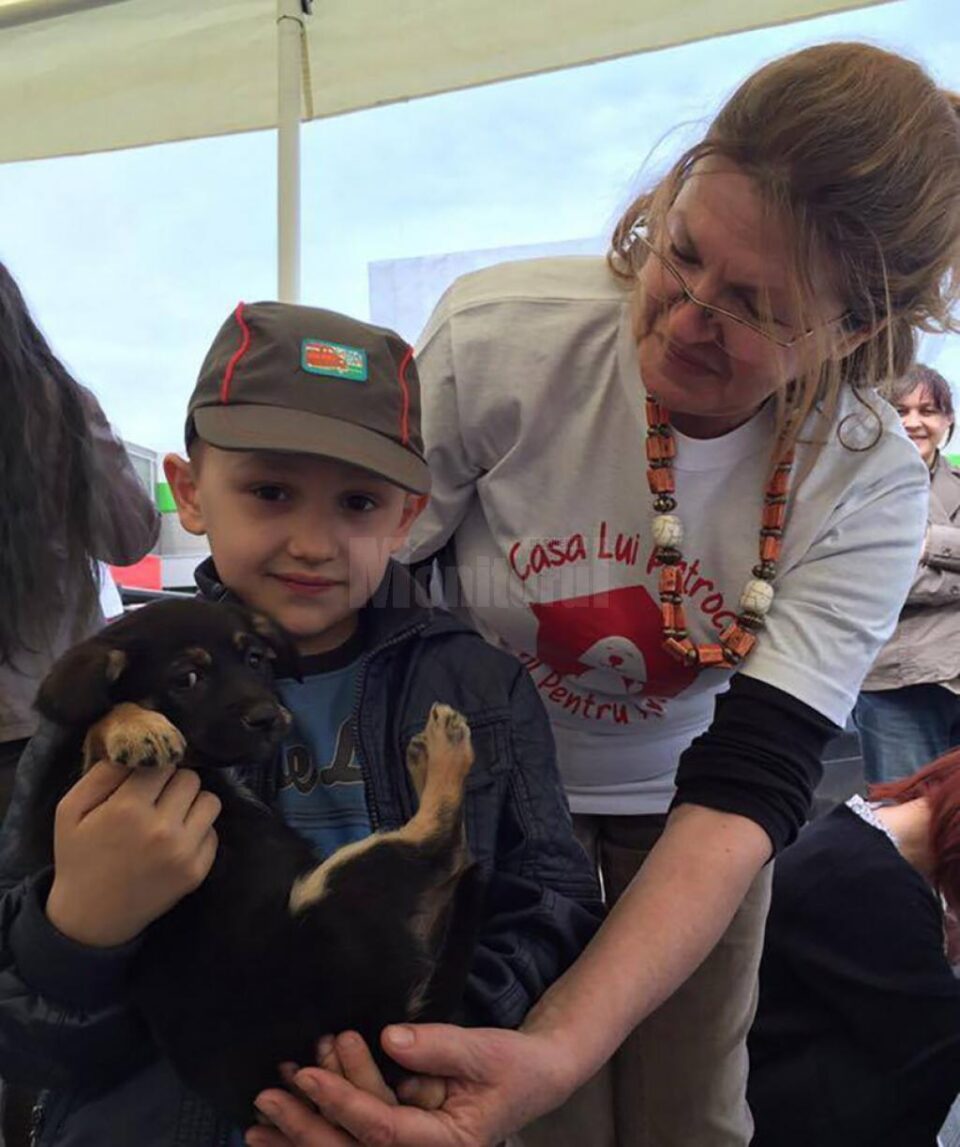 Prima ediție a târgului de adopții, desfășurată în parcarea SCS