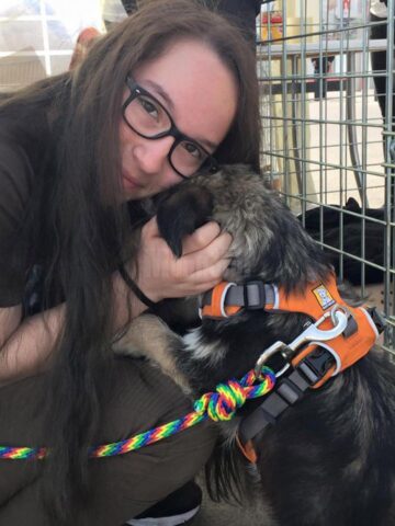 Prima ediție a Târgului de adopții de animăluțe, încununată de succes