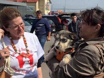 Prima ediție a Târgului de adopții de animăluțe, încununată de succes