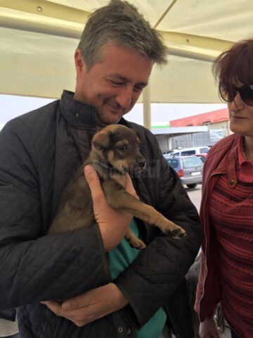 Prima ediție a Târgului de adopții de animăluțe, încununată de succes