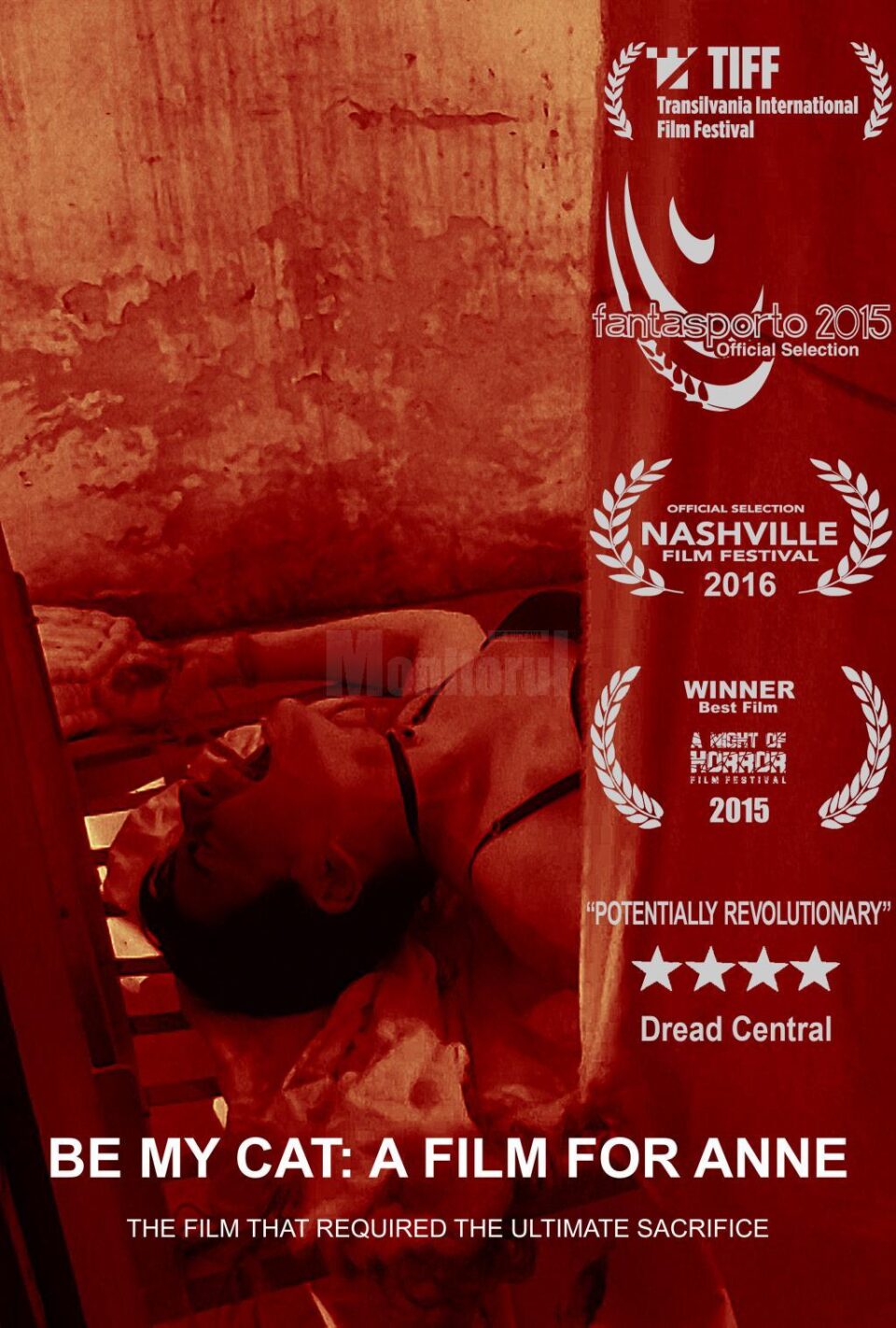 „Be My Cat: A Film for Anne", primul film horror found footage românesc