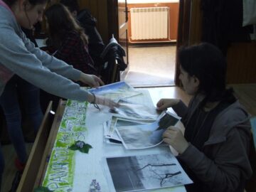 Ziua Pământului, marcată la Colegiul Tehnic „Alexandru Ioan Cuza”
