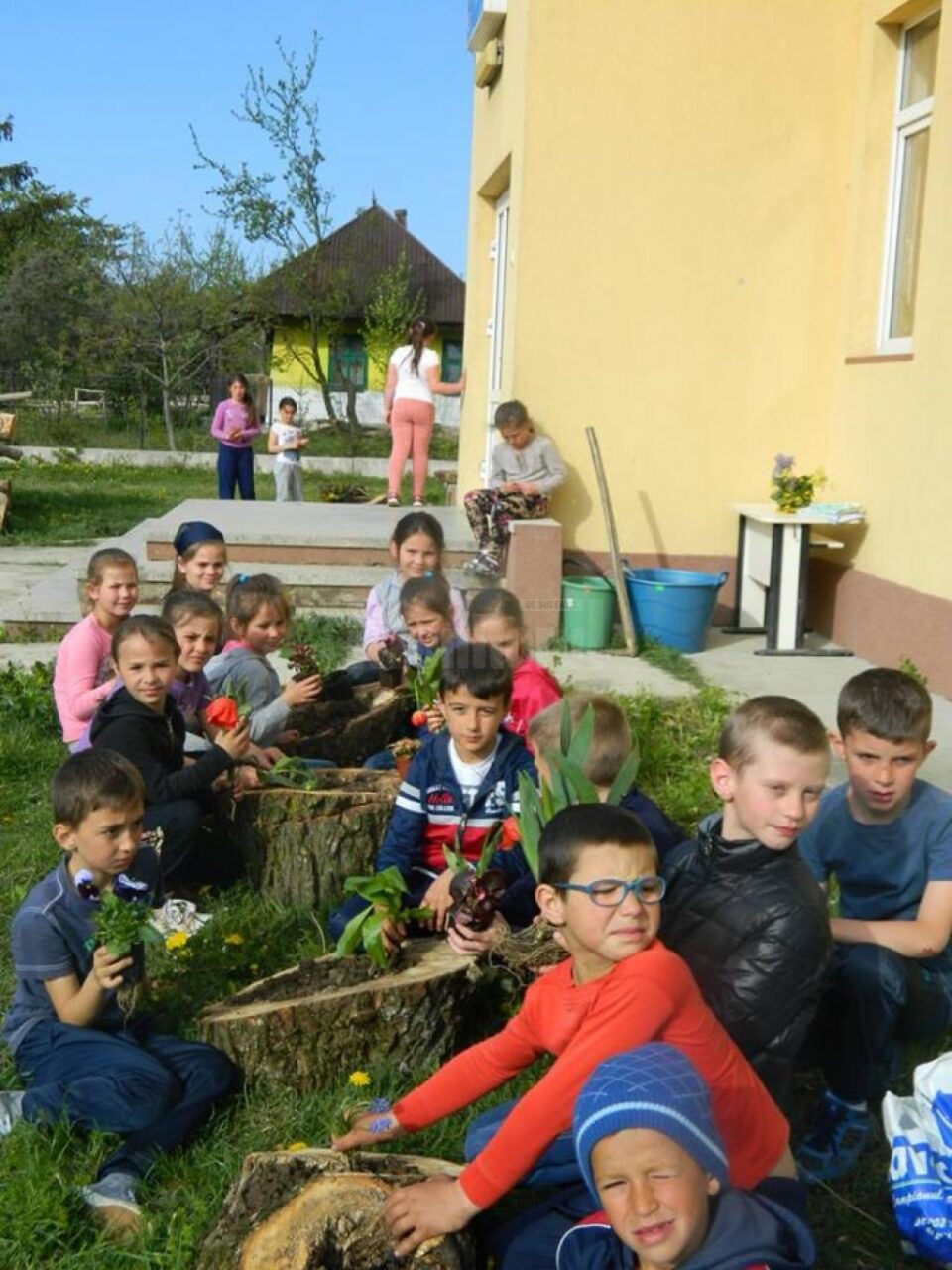 Activități de educație ecologică și de protecția mediului, la Cajvana