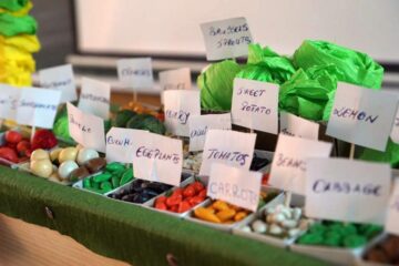 110 elevi, prezenți la Concursul județean în limba engleză „Biodiversity”, găzduit de Colegiul Economic