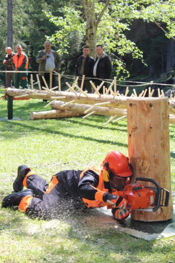 Cei mai buni fasonatori din județ s-au întrecut la OS Stulpicani