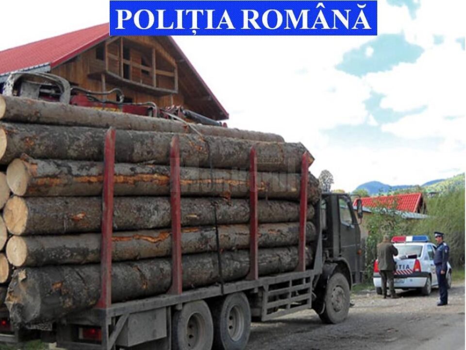 Amenzi de peste 100.000 de lei aplicate în cadrul unei acțiuni de prevenire și combatere a delictelor silvice