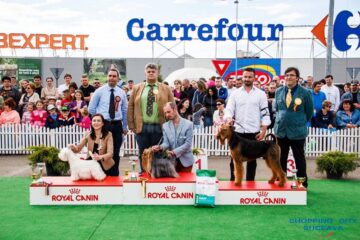 Sute de câini de rasă, admirați de 30.000 de spectatori, la cea de-a VIII-a ediție a "Bucovina Dog Show"