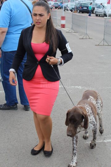 Sute de câini de rasă, admirați de 30.000 de spectatori, la cea de-a VIII-a ediție a "Bucovina Dog Show"