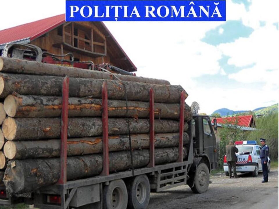 Lemnul fără acte de proveniență și transport a fost confiscat