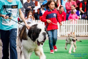 Sute de câini de rasă, admirați de 30.000 de spectatori, la cea de-a VIII-a ediție a "Bucovina Dog Show"