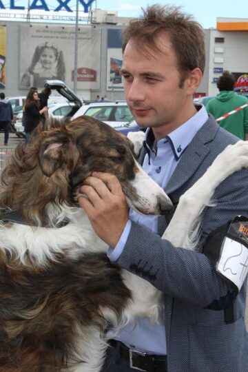 Sute de câini de rasă, admirați de 30.000 de spectatori, la cea de-a VIII-a ediție a "Bucovina Dog Show"