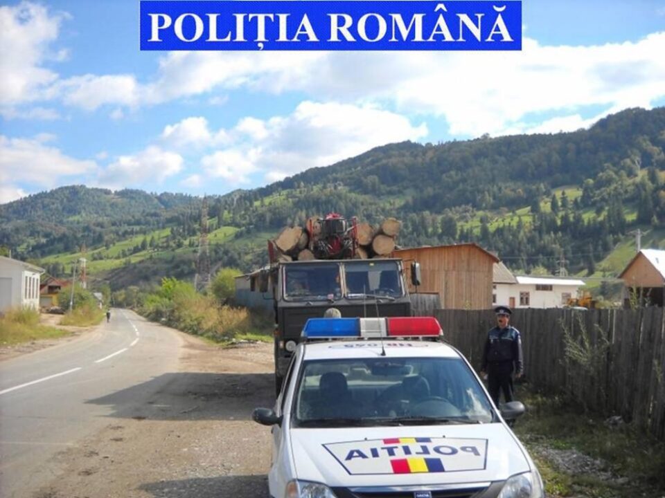 Polițiștii au oprit în trafic peste 140 de autovehicule care transportau lemn