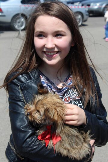 Sute de câini de rasă, admirați de 30.000 de spectatori, la cea de-a VIII-a ediție a "Bucovina Dog Show"