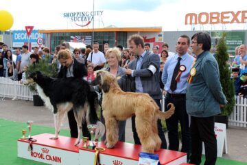 Frumoase exemplare din 65 de rase de câini au fost prezente la „Bucovina Dog Show 2016”