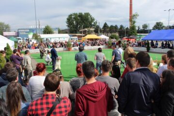Sute de câini de rasă, admirați de 30.000 de spectatori, la cea de-a VIII-a ediție a "Bucovina Dog Show"