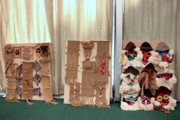 Problemele persoanelor cu nevoi speciale, mediatizate prin vocea Consiliului Național al Dizabilității din România