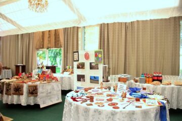 Problemele persoanelor cu nevoi speciale, mediatizate prin vocea Consiliului Național al Dizabilității din România