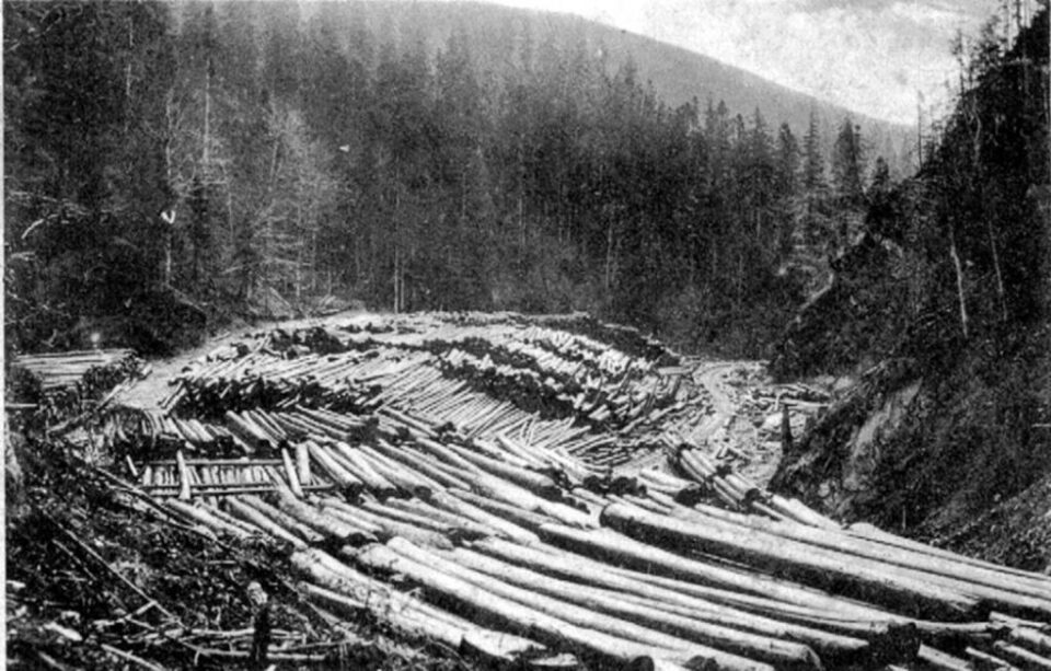 „Întrecerea socialistă” „Întrecerea socialistă”