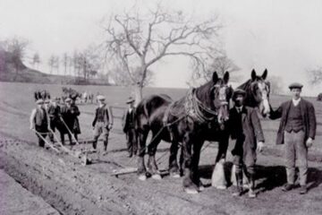 „Oameni ai muncii de pe ogoare!”