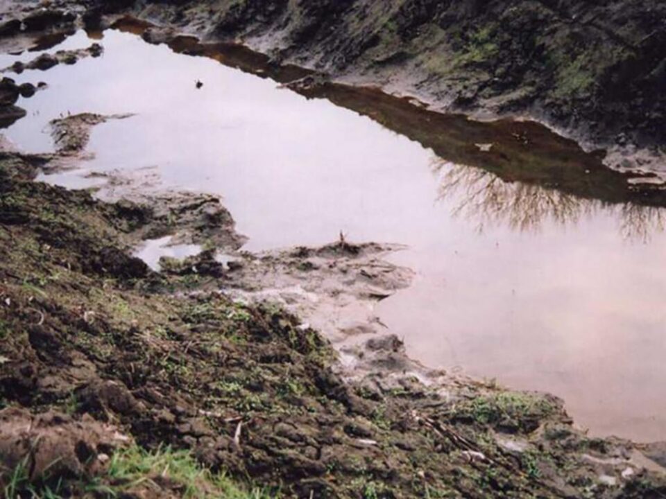 „Poluare” „Poluare”