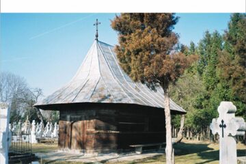 Ion Prelipcean: „Bucovina - nucleul înființării statului medieval Moldova”