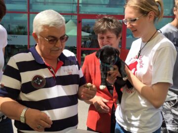Sute de kg de hrană și donații în bani, primite la cea de-a II-a ediție a Târgului de adopție de animăluțe