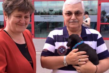 Sute de kg de hrană și donații în bani, primite la cea de-a II-a ediție a Târgului de adopție de animăluțe