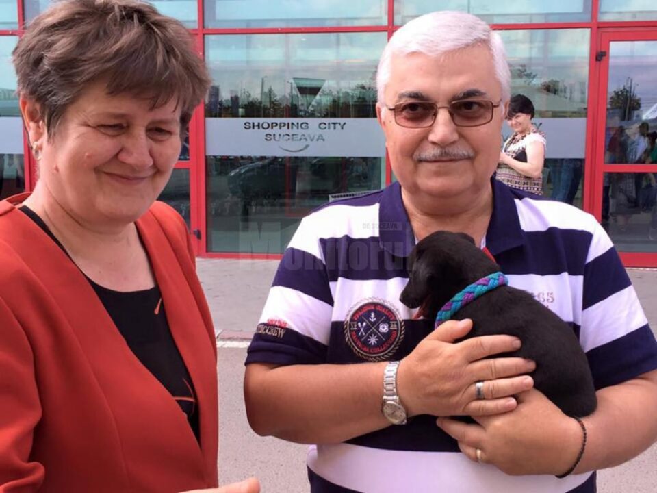 Sute de kg de hrană și donații în bani, primite la cea de-a II-a ediție a Târgului de adopție de animăluțe