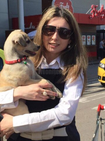 Sute de kg de hrană și donații în bani, primite la cea de-a II-a ediție a Târgului de adopție de animăluțe
