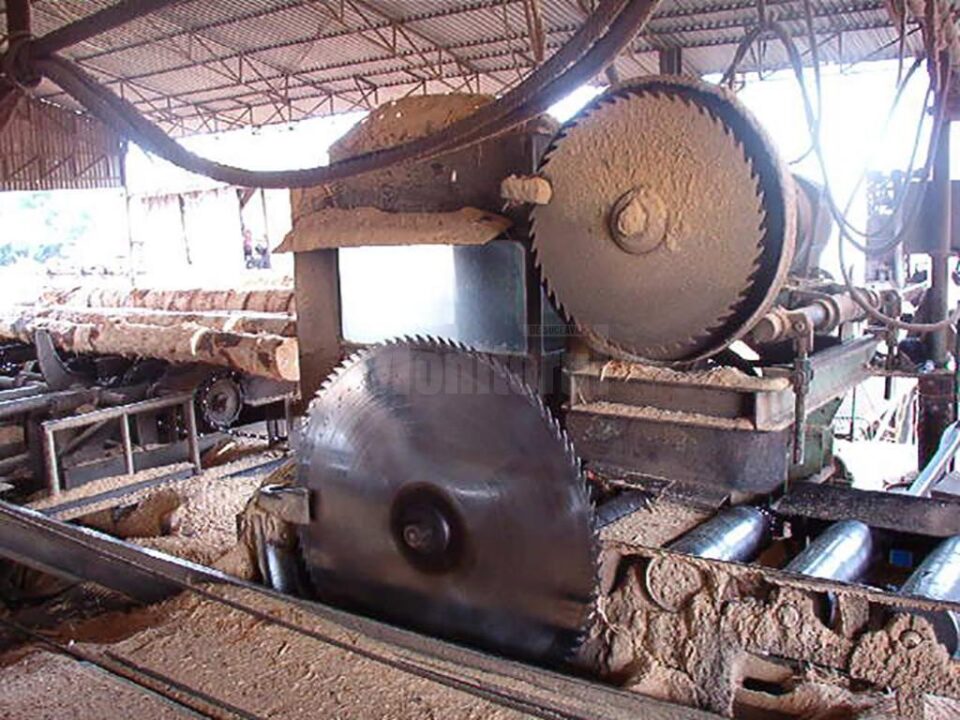 „Hala de gatere” „Hala de gatere”