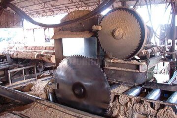 „Hala de gatere”