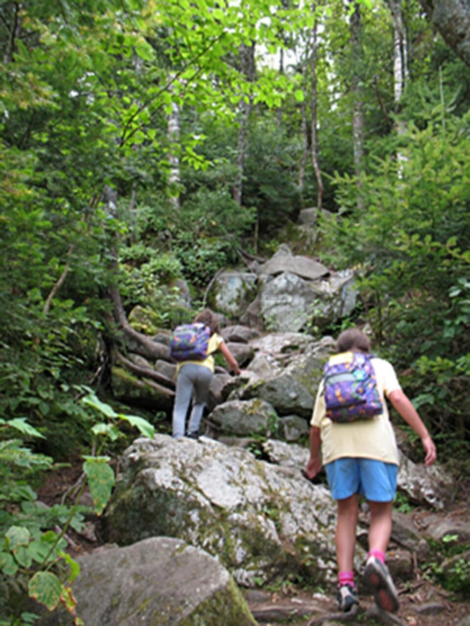 „Calendar de vacanță” „Calendar de vacanță”