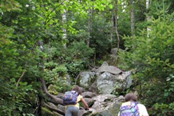 „Calendar de vacanță”